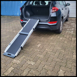 5 ft. 9 in. x 16.1 in. Pet Ramp Telescopic DRT41