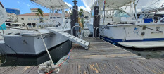 Safe Boat Access Ramp – Disabled & Limited Mobility  (MG120)